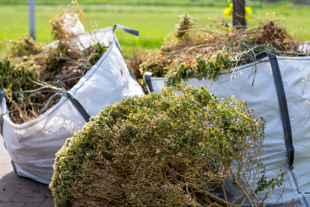 Best Shed Removal  in Etowah, TN