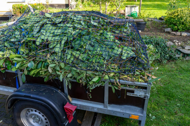 Best Yard Waste Removal  in Etowah, TN